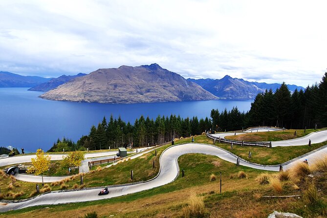 5 Day South Island New Zealand Private Tour from Queenstown - Day 5: Kaikoura whales or Akaroa dolphins