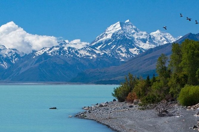 5-Day South Island Tour from Christchurch - Day 5: Hokitika, Greymouth, and the TranzAlpine train