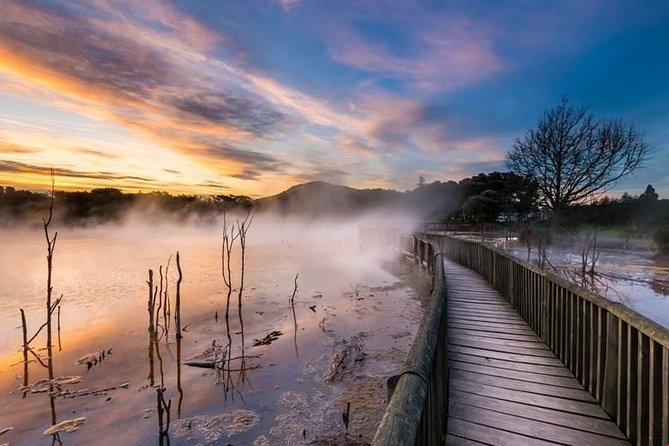 6.5 hour Small-Group Rotorua Naturally Shore Excursion - Tauranga - Key points to know before booking
