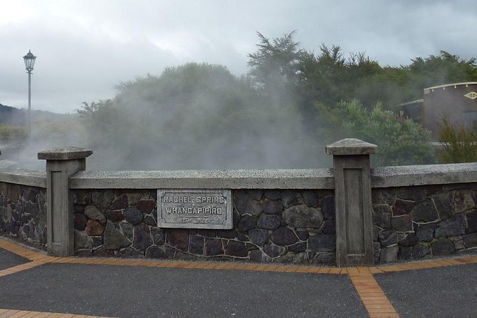 6.5 hour Small-Group Rotorua Naturally Shore Excursion - Tauranga - Why this Tauranga to Rotorua trip works