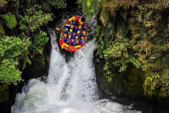 6.5 hour Small-Group Rotorua Naturally Shore Excursion - Tauranga - The Redwoods Treewalk and Glow Worm Cave
