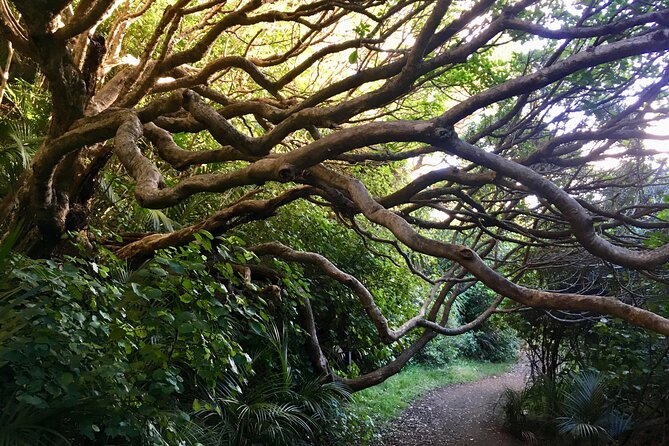 6 Hours Sightseeing Tour in Auckland - Key points to know before booking