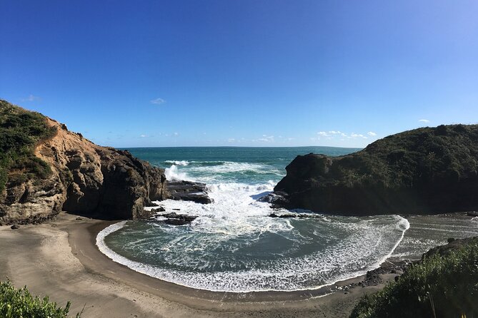 6 Hours Sightseeing Tour in Auckland - Why this tour works for a first Auckland visit