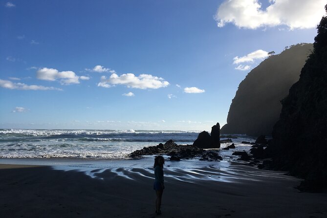6 Hours Sightseeing Tour in Auckland - Wine tasting and lunch at the end of the day