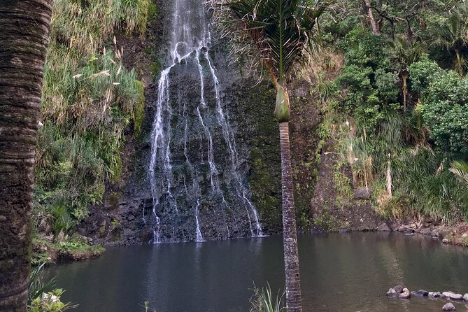 6 Hours Sightseeing Tour in Auckland - A small group makes a real difference