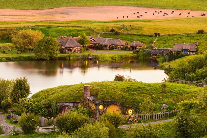 6 Hours Sightseeing Tour in Auckland - Who will enjoy this Auckland day out