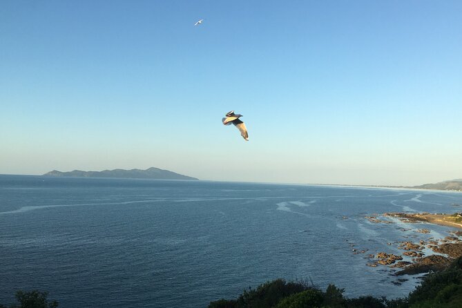 8-Hour Private Scenic Kapiti Coast Tour from Wellington - Ngā Manu brings you close to New Zealand wildlife