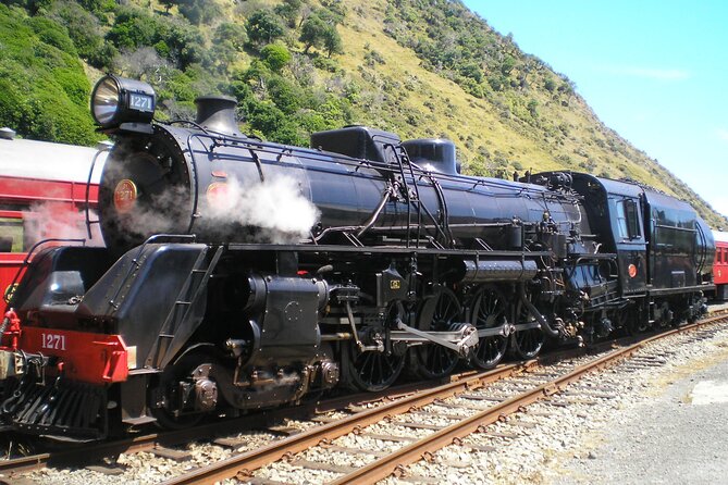 8-Hour Private Scenic Kapiti Coast Tour from Wellington - Lunch in Waikanae is built into the route