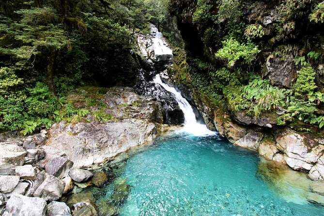 9 Day South to North Island NZ Private Tour from Queenstown - Key points to know before booking