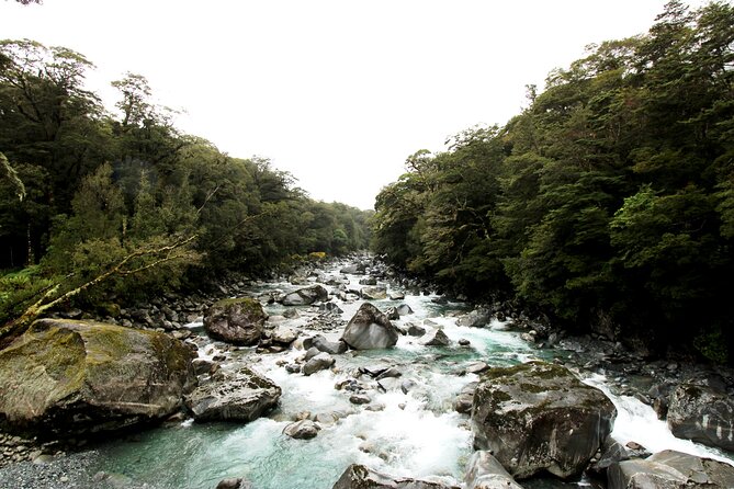 9 Day South to North Island NZ Private Tour from Queenstown - Day 5: Choose between Kaikōura and Akaroa