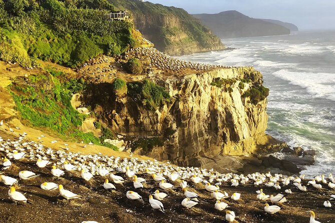 9 Day South to North Island NZ Private Tour from Queenstown - Day 1: Milford Sound, Doubtful Sound, and Te Anau Glowworm Caves