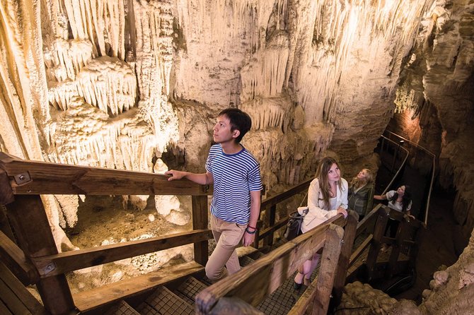 90-Minute Guided Ruakuri Cave Tour Waitomo - What makes Ruakuri Cave different
