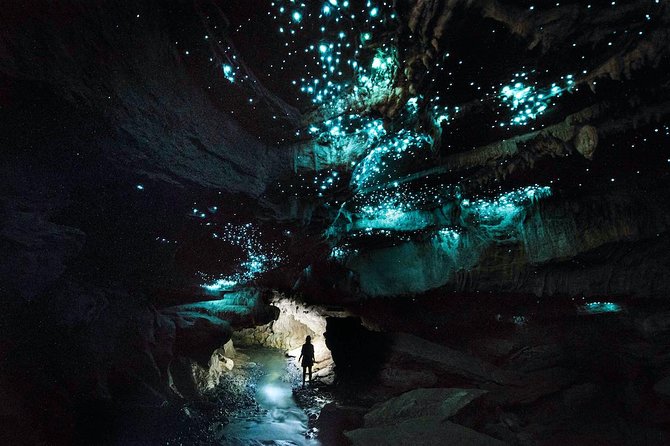 90-Minute Guided Ruakuri Cave Tour Waitomo - Timing, price, and real value