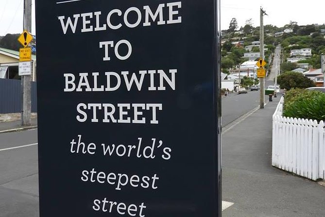 A 2 hour Small Group Dunedin City Highlights Tour - Five useful things to know before booking
