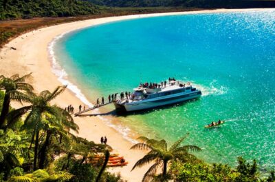 Abel Tasman National Full Park Scenic Cruise