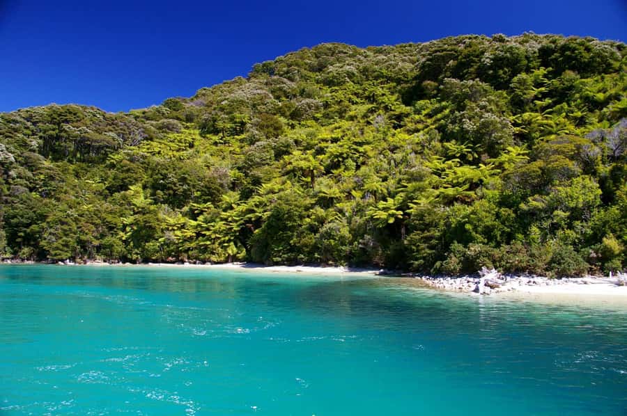 Abel Tasman National Full Park Scenic Cruise - What the $59 price really buys you