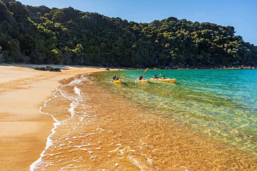 Abel Tasman National Park: Cruise, Kayak, & Hike Tour - Lunch, swimming, and a useful pause