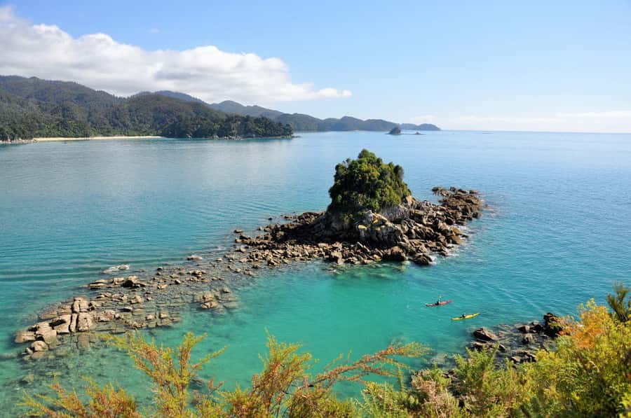 Abel Tasman National Park: Cruise, Kayak, & Hike Tour - The return cruise and transport back to Nelson