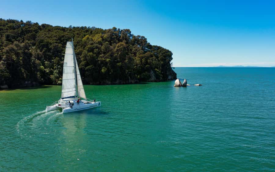 Abel Tasman National Park: Cruise, Walk & Sailing Tour - Keep your eyes open for fur seals and weka