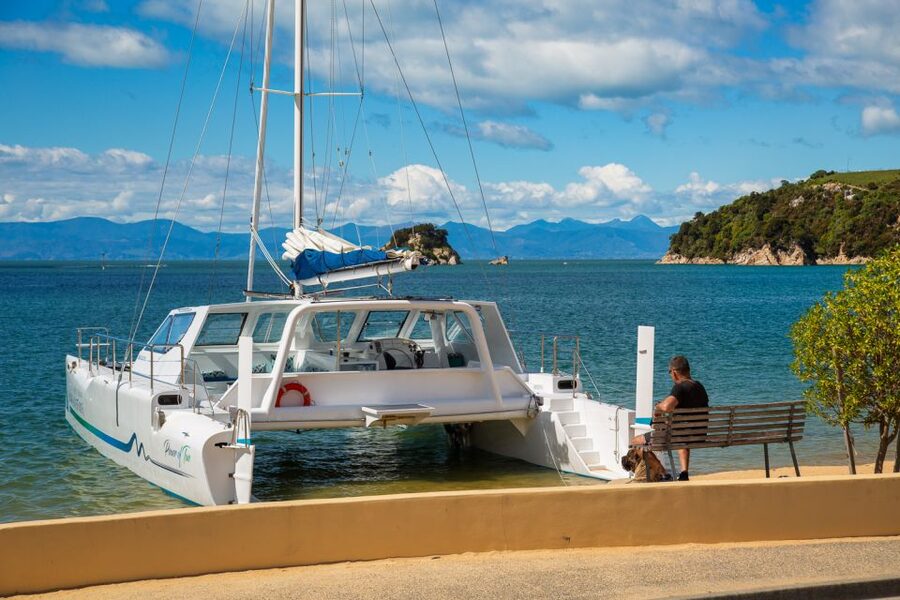 Abel Tasman National Park: Day Sailing Adventure with Lunch - Split Apple Rock and the fur seal colony