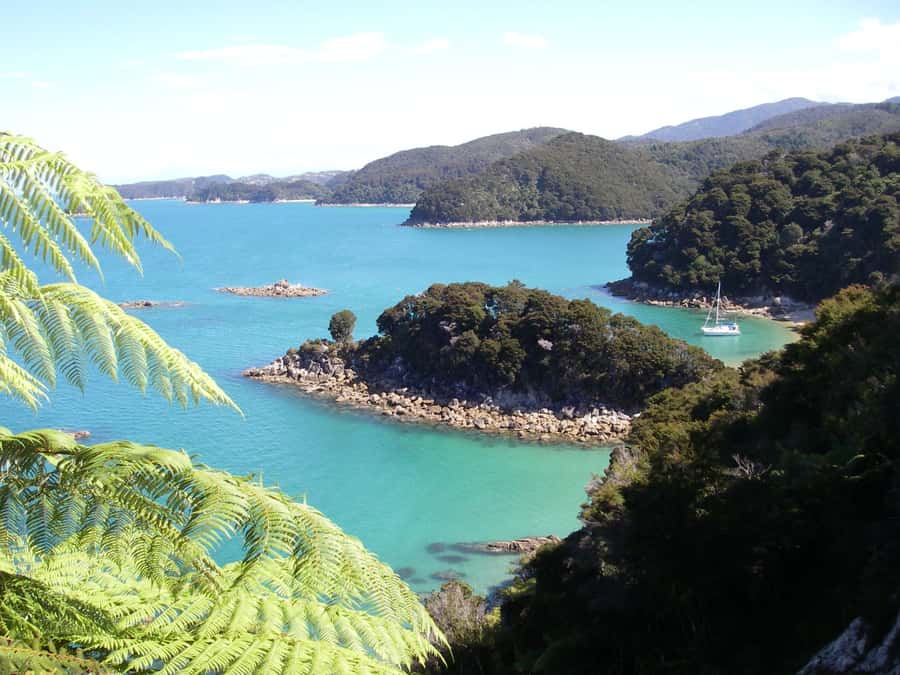 Abel Tasman National Park: Sailing and Self-Guided Walk - Why this boat-and-walk plan works so well