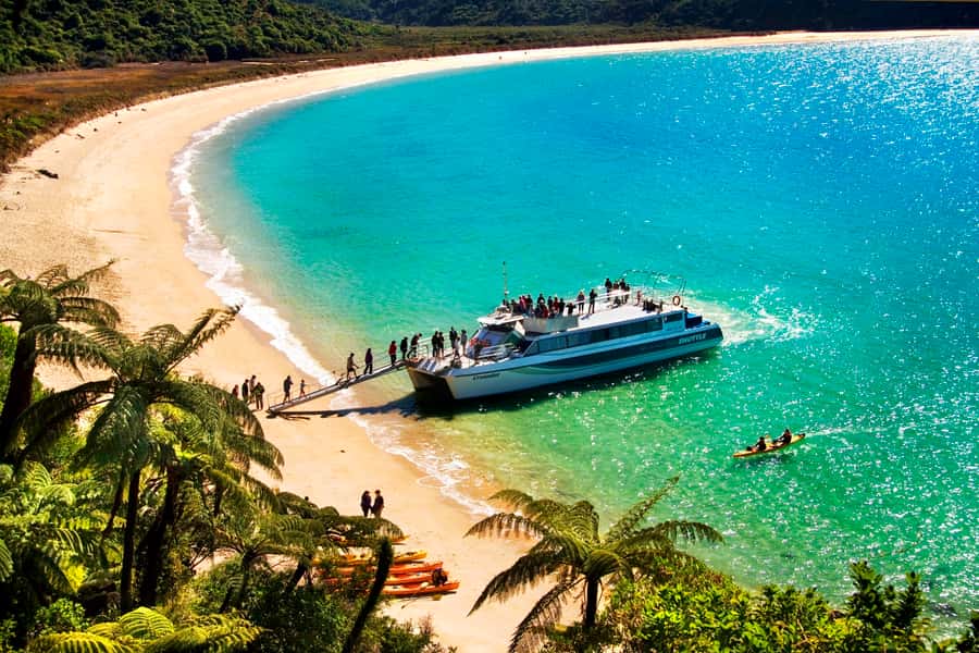 Abel Tasman: Sea Shuttle Cruise and Walking Tour Combo - The coastal cruise, Split Apple Rock, and Adele Island