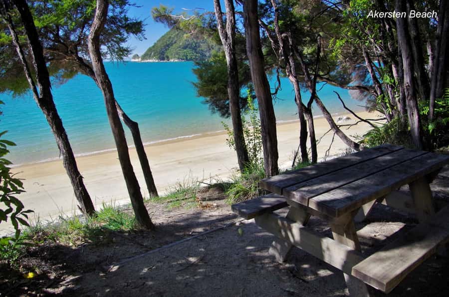 Abel Tasman: Sea Shuttle Cruise and Walking Tour Combo - Option B: Medlands Beach, swing bridge, and Cleopatra’s Pool