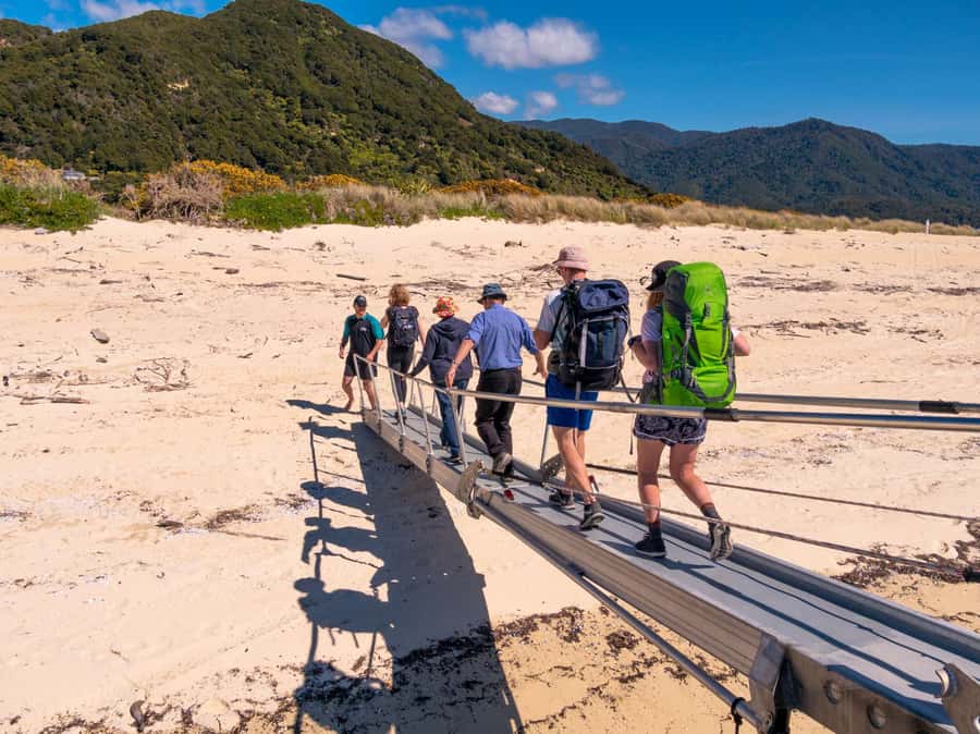 Abel Tasman: Sea Shuttle Cruise and Walking Tour Combo - Option C: Five beaches from Awaroa to Medlands