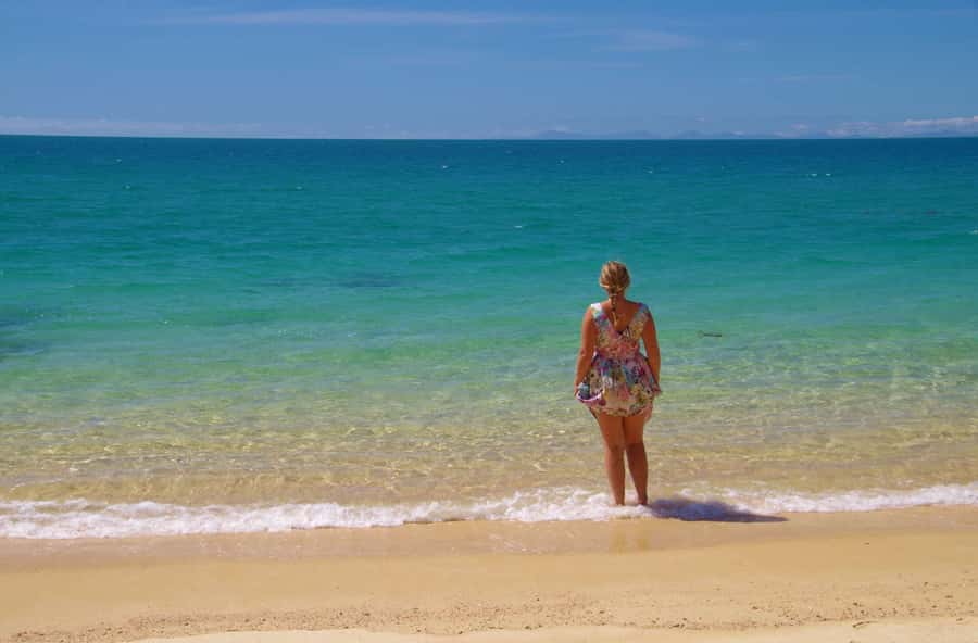 Abel Tasman: Sea Shuttle Cruise and Walking Tour Combo - Timing, distance, and the importance of the later boat