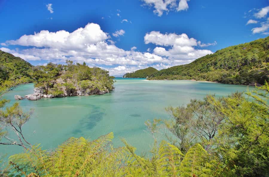 Abel Tasman: Sea Shuttle Cruise and Walking Tour Combo - Is the $74 price good value?