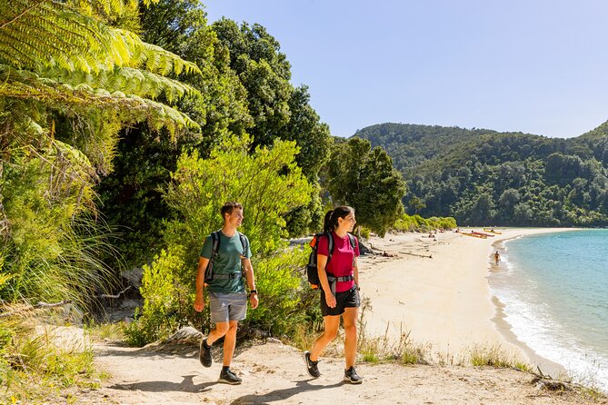 Abel Tasman Vista Cruise - Weather, sea conditions, and comfort