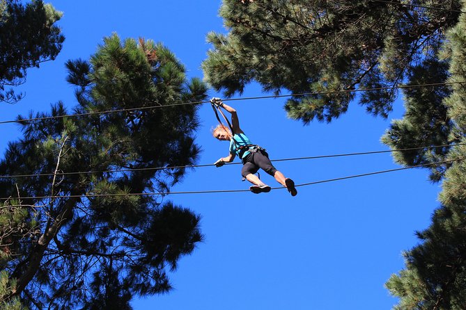 Adrenalin Forest Auckland - Getting Started at 12 Stone Road in Bombay