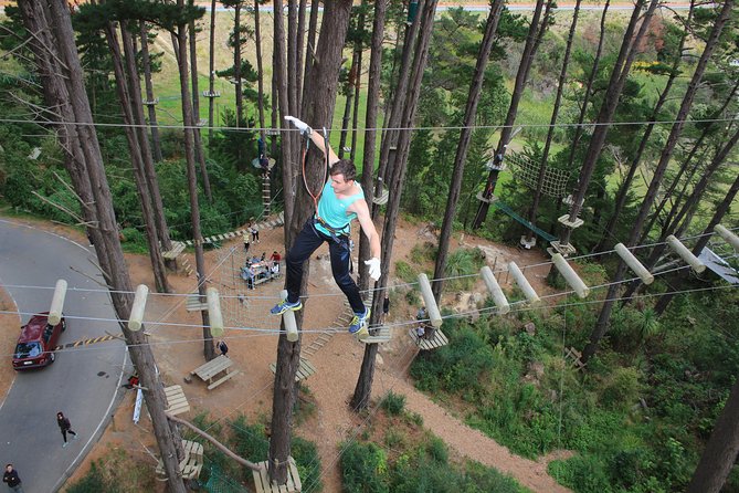 Adrenalin Forest Auckland - Barrels, Wrecking Balls, and the Indiana Jump