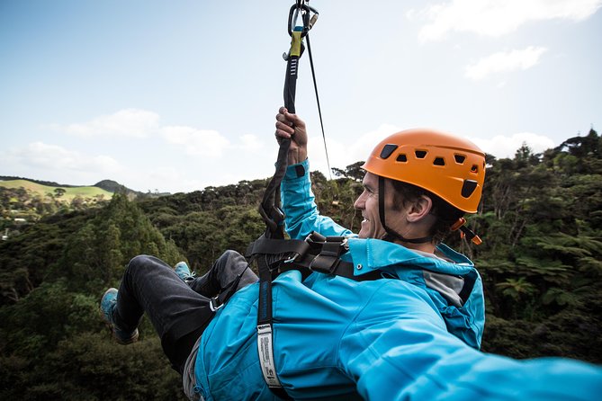Adventurous Zipline Tour in Coromandel - Eight Ziplines Through Treetops and Gullies