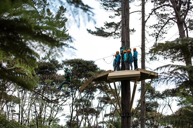 Adventurous Zipline Tour in Coromandel - Why Barry Brickell’s Story Adds Value