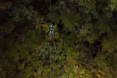 Adventurous Zipline Tour in Coromandel