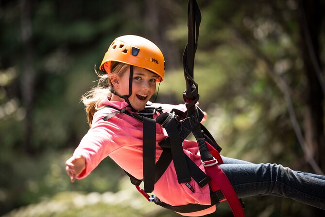 Adventurous Zipline Tour in Coromandel - Small Groups Make the Course Easier