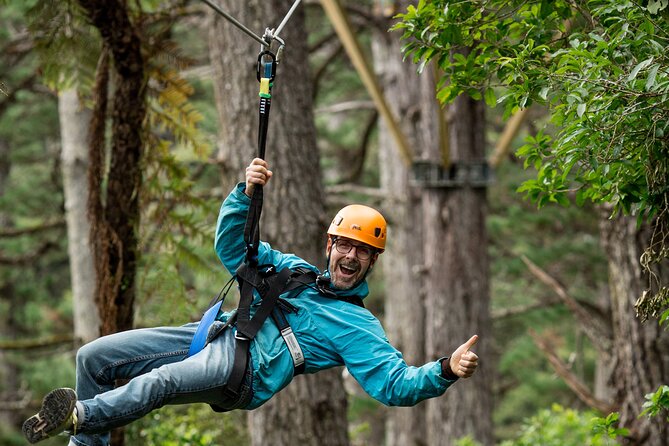 Adventurous Zipline Tour in Coromandel - Who Will Enjoy This Coromandel Adventure