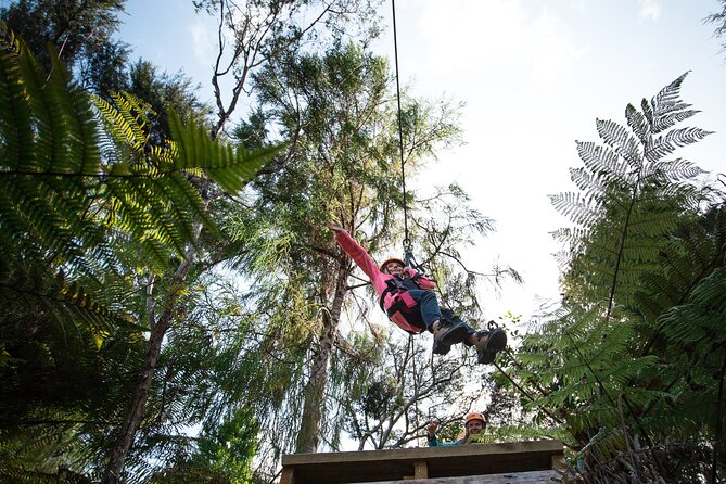 Adventurous Zipline Tour in Coromandel - The Parts I Would Remember Most