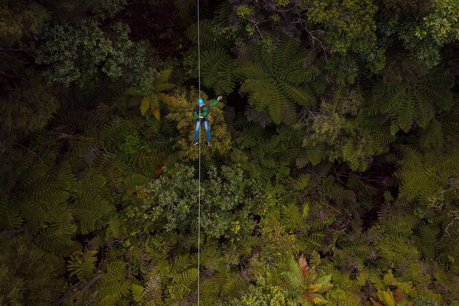 Adventurous Zipline Tour in Coromandel - Forest Views From Above and Below