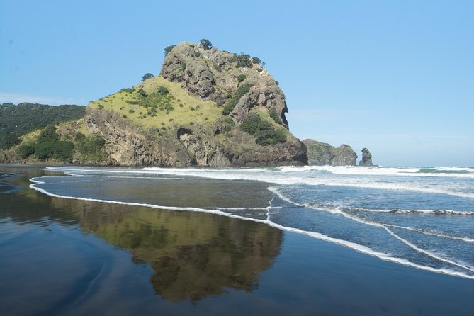 Afternoon Piha Beach and Rainforest Tour from Auckland - Afternoon tea with local touches