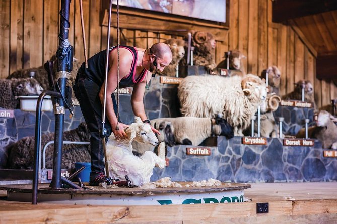 Agrodome Farm Experience including Farm Show and Farm Tour - Rotorua - Why the Agrodome works as a Rotorua family outing
