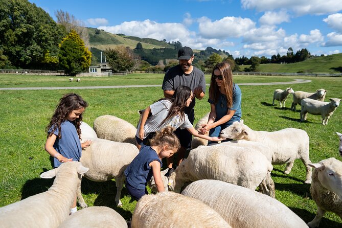Agrodome Farm Experience including Farm Show and Farm Tour - Rotorua - Working dogs show the practical side of farming