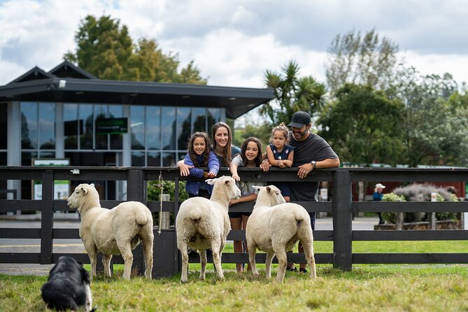 Agrodome Farm Experience including Farm Show and Farm Tour - Rotorua - The tractor tour brings you close to the animals