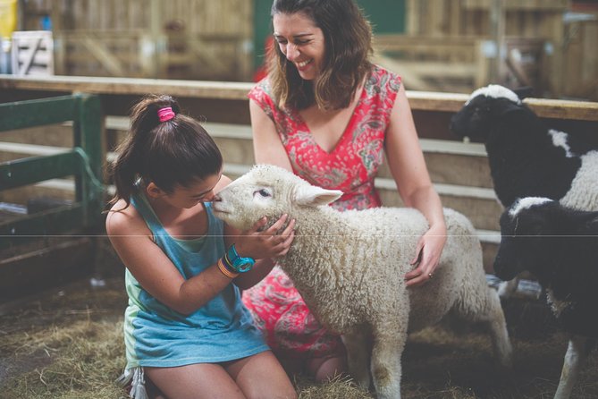 Agrodome Farm Experience including Farm Show and Farm Tour - Rotorua - The farm nursery and wider property add quiet moments