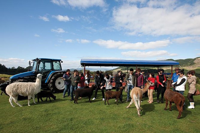 Agrodome Farm Experience including Farm Show and Farm Tour - Rotorua - Is $40.34 a fair price?