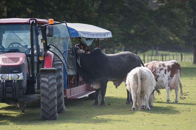 Agrodome Farm Experience including Farm Show and Farm Tour - Rotorua - Getting there and planning your visit