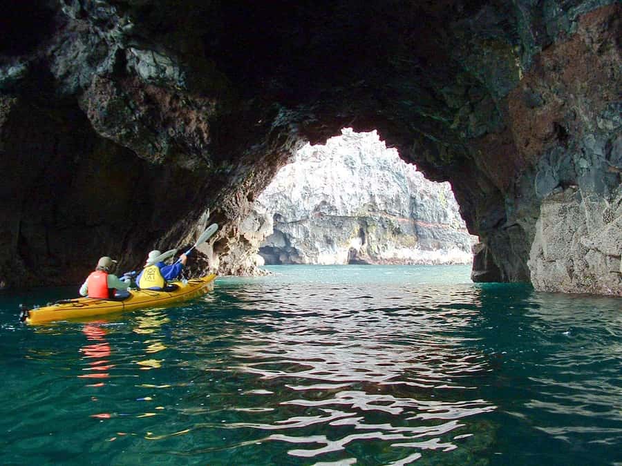 Akaroa: 4WD Safari and Guided Sea-Kayaking Experience - Paddling beneath cliffs, reefs, and caves