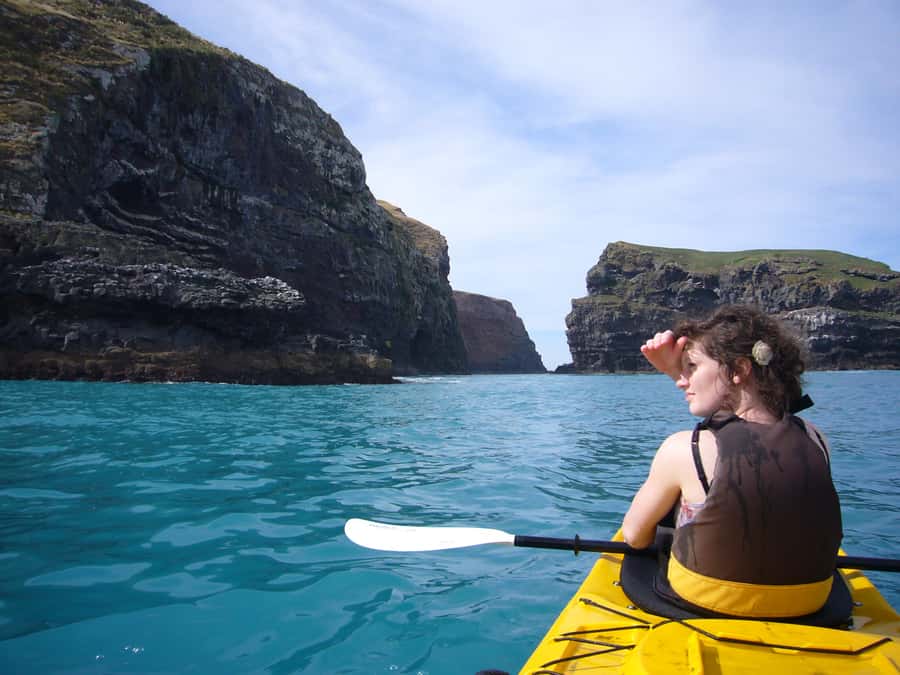 Akaroa: 4WD Safari and Guided Sea-Kayaking Experience - Morning or afternoon departure?