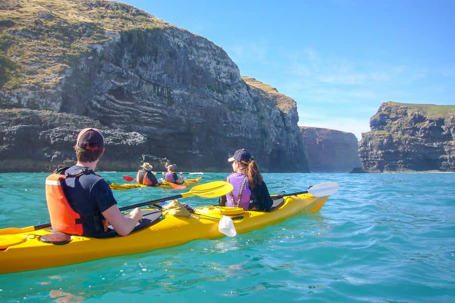 Akaroa: 4WD Safari and Guided Sea-Kayaking Experience - Arriving at Pohatu Flea Bay
